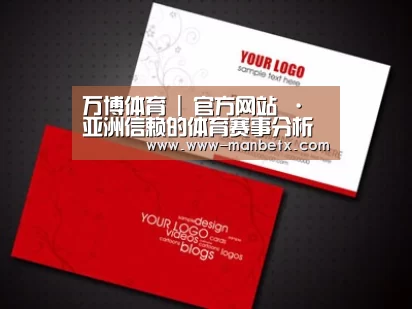 项目名称八
