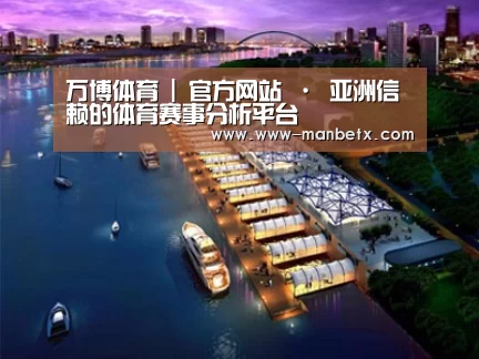案例展示八