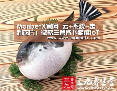 ManbetX官网-云+系统+定制芯片:微软三管齐下瞄准IoT安全(图1) 万博官网
