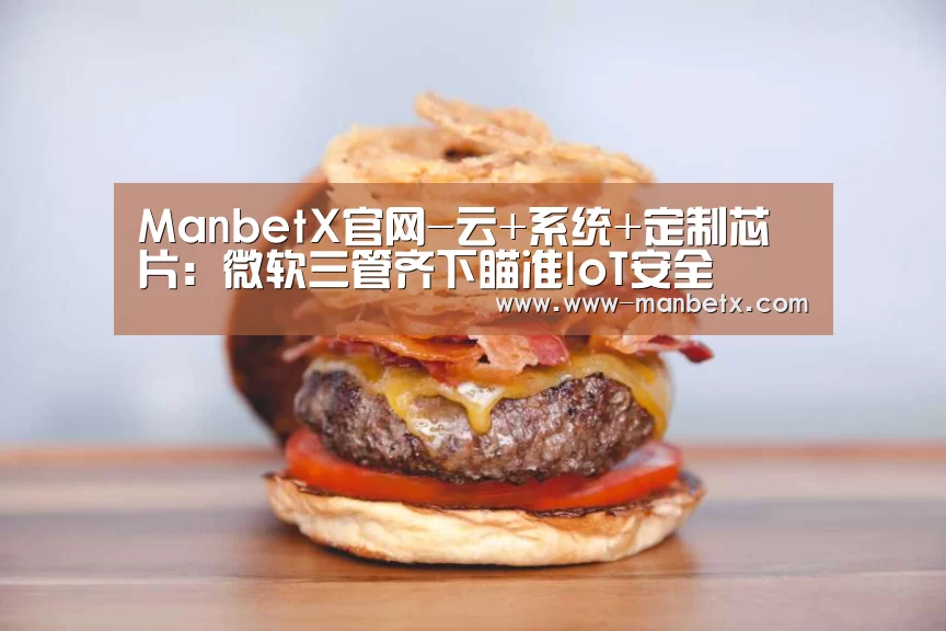 ManbetX官网-云+系统+定制芯片:微软三管齐下瞄准IoT安全(图2) 万博官网
